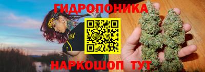 спиды Можга